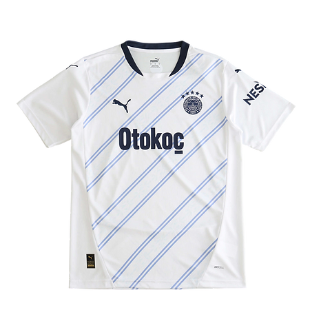 2425 season Fenerbahce away Fan version